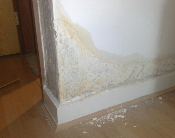 rising-damp-damp-proofing-doncaster